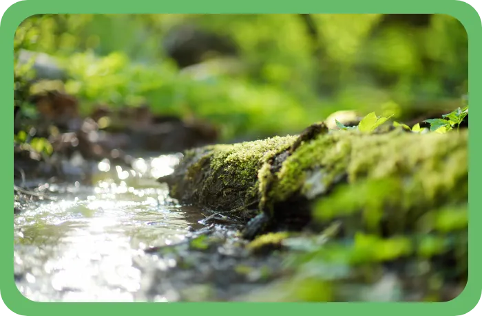 品質、環境方針