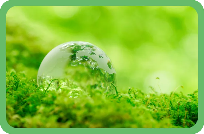 エコアクション21